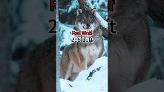 Rarest Animals In The World 2023 😲 | Crazy Facts | Amazing Facts | Cute Animal Facts