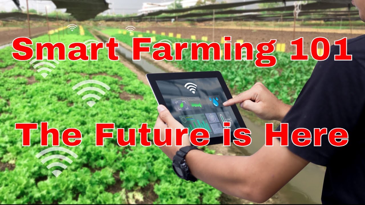 Smart Farming 101 Revolutionizing Agriculture With Technology Youtube