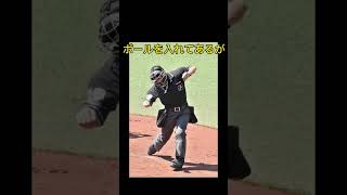 野球審判あるある#shorts #審判 #あるある #大谷翔平 #野球 #キャンプ #プロ野球