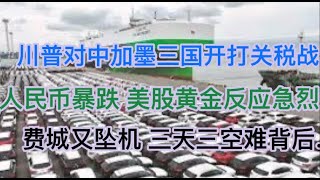 突发！川普对中加墨三国开打关税战，人民币暴跌，美股黄金反应激烈！费城又坠机，美国3天3空难的背后！(20250131第1357期)