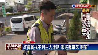 流浪狗闖車陣險被撞 暖警鳴笛護送過馬路－民視新聞