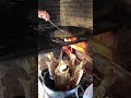 Peixe frito no disco de arado no fogão a lenha #fogaoalenha #roça #shorts #fazenda #familia