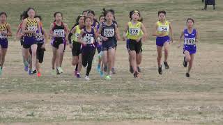 ⑩ドリーム）まのうらら小学6年女子1500mスタート 第5回東京クロスカントリー大会20241208