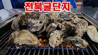 천북굴단지 맛집 천북항 굴축제  굴구이 맛집 보령 굴 서해안가볼만한곳 서해안 여행 석화 보령해저터널