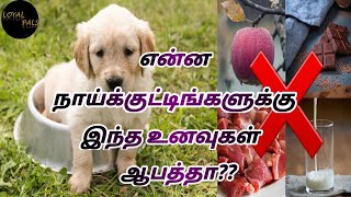 நாய்களுக்கு ஆபத்தானா உணவுகள் | Dangerous Foods For Dogs in Tamil | LoyalPals