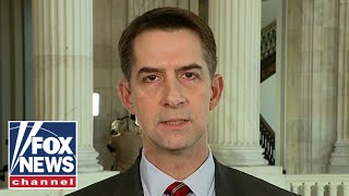 Tom Cotton: The US has had a 'kick me' sign on its back because of Biden