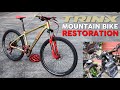 Bike Restoration - Trinx M100 Elite Red & Beige Color Combination