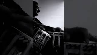 Tabla - Avirbhav verma #tabla #tablaplayer #tablasolo