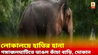 ফের লোকালয়ে হাতির হানা, বাঁকুড়ার গঙ্গাজলঘাটিতে ভাঙল কাঁচা বাড়ি, দোকান