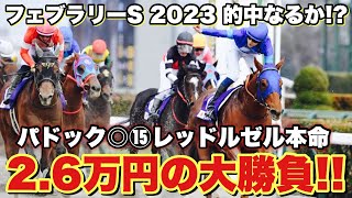 フェブラリーSを現地で大勝負！！2023年最初のG1レースで的中なるか！？