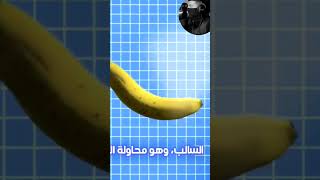 لماذا شكل الموز منحني