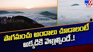 Heavy Fog in Alluri Sitarama Raju District : పొగమంచు అందాలు చూడాలంటే అక్కడికి వెళ్లాల్సిందే ..!-TV9