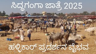 ಸಿದ್ಧಗಂಗಾ ಜಾತ್ರಾ ಮಹೋತ್ಸವ 2025 - ಹಳ್ಳಿಕಾರ್ ಪ್ರದರ್ಶನ ವೈಭವ