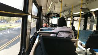 (Ride On) CTtransit #729 on Route 503