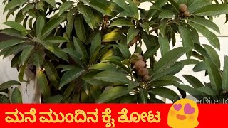 ನಮ್ಮ ಮನೆಯ ಕೈ ತೋಟ ನಿಮ್ಮ ಜೊತೆಗೆ ಹಂಚಿಕೊಳತಿದೀನಿ 🌿🌾🌿 ಇಷ್ಟ ಆದ್ರೆ ಒಂದು ಲೈಕ್ ಮಾಡಿ 🌿🌾🌾