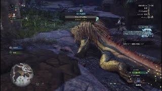 [MHW]機関竜弾特化で上位ドスジャグラス