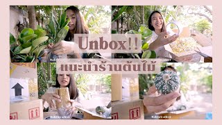 แกะกล่อง!!! แนะนำร้านต้นไม้ออนไลน์ งบไม่เกิน 100 บาท | Raksawadeer