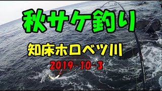 秋サケ釣り salmon fishing　知床ホロベツ川釣行　2019 10 2