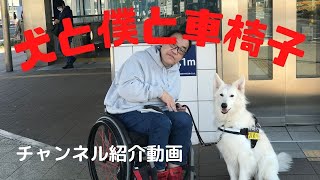 犬と僕と車椅子　＃チャンネル紹介　＃車椅子　＃大型犬　＃介助犬 #犬の訓練　＃wheelchair　＃wheelchairlife　＃assistantsdog