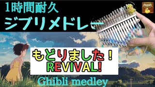 【復活】カリンバ ジブリメドレー Studio Ghibli  Music Box medley healing kalimba Relaxing Sleeping途中広告無し１時間 耐久 睡眠BGM