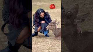 鹿に触れ喜ぶ外国人観光客🫎NARA PARK