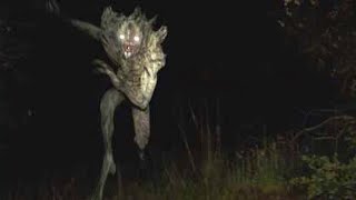 Top 5 Scary Alien Entities That Want To Abduct You