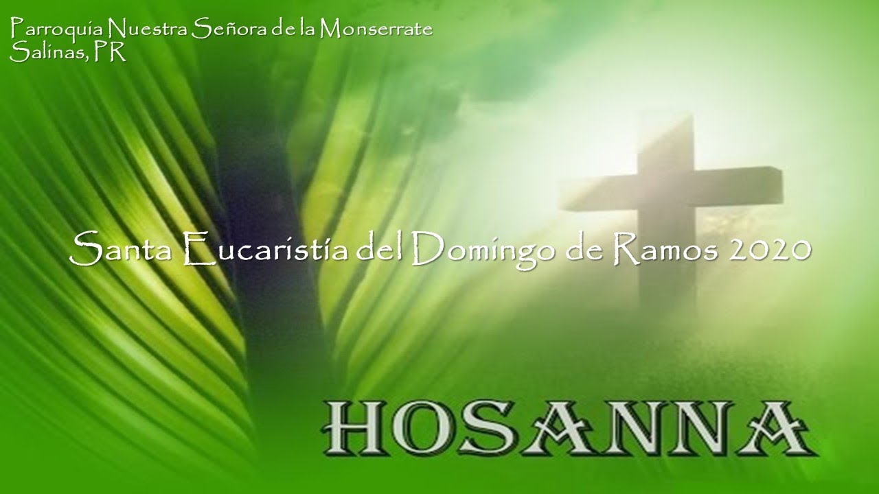 Santa Eucaristía Del Domingo De Ramos 2020 "Hosanna Al Hijo De David ...