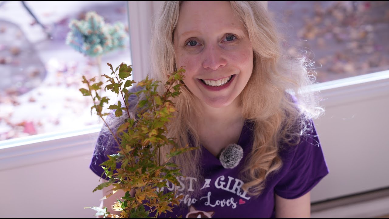 Unboxing Little Sango From Mr Maple Youtube