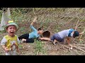 FULL VIDEO: harvesting agricultural products - bad guys lurk and attack - I'm very sad - gardening