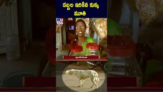 డబ్బల ఇరికిన కుక్క మూతి -TV9