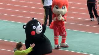 JFAキッズサッカーフェスティバル2013で踊るくまモン