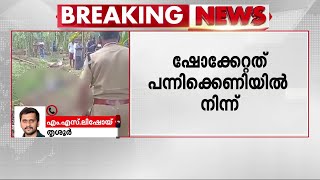 കാട്ടുപന്നിക്ക് വെച്ച വൈദ്യുത കെണിയിൽ നിന്ന് ഷോക്കേറ്റ് യുവാവ് മരിച്ചു | Thrissur | Electric Shock