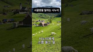 5000만원짜리 시골땅을 달라는 황당한 시누이