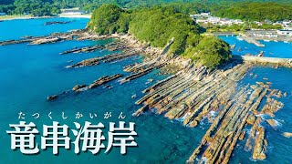 奇勝奇岩！露出した岩肌が素晴らしい竜串海岸＆海中天然ミュージアム 足摺海底館【高知県土佐清水市】