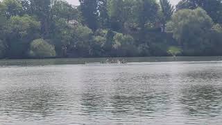 Men's Varsity 4+ at Canadian Nationals (CSSRA) 2023