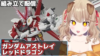 【ガンプラ配信】ド派手な武器がかっけぇ！ HG『ガンダムアストレイ レッドドラゴン』組み立て配信【VTuber/木漏日わんこ】