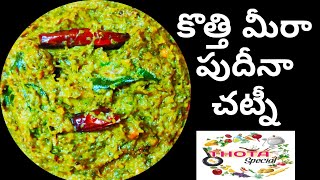 కొత్తి మీరా పుదీనా చట్నీ తయారీ విధానం|kothimeera pudina chutney in Telugu|Coriander And Mint Chutney