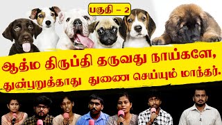 ஆத்ம திருப்தி தருவது நாய்களே, துன்புறுத்தாது  துணை செய்யும் மாந்தர் | Sollayutham