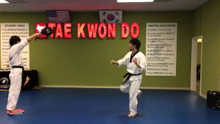 Taekwondo 360 kick in a slow motion