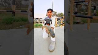 Remote control fish unboxing and testing 🐠#shorts #fish