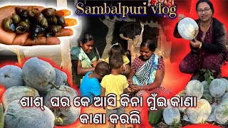 ଆଏଜ ମୁଇ ମୋର ଶାଶ ଘର ଆସିଛେ#sambalpurivlog