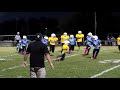 Blake Gerald 2017 Highlight Video(B League Steelers Quarterback)