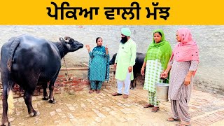 ਪੇਕਿਆ ਵਾਲੀ ਮੱਝ ￼ pekya di majh | Punjabi short movie 2023 | Punjabi video @Wakhrisochchannel