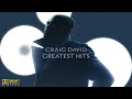 Craig David - You Don't Miss Your Water ('Til The Well Runs Dry)