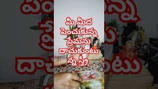 💯😍మీ పర్సన్ ఆలోచనలు మీ ఆలోచనలు ఇలా ఉన్నాయి 🤔🤨#radhakrishna #lovetarot #love #vairal