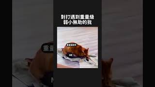 對打遇到重量級，弱小無助的我｜拳擊迷因｜Get Hit Boxing #拳擊