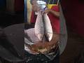 Rohu fish cutting skill#