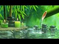 relaxing music to relieve stress anxiety and depression 🌿 heals the mind body and soul 25