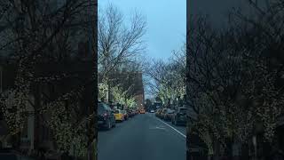 Jackson Heights Queens Queens Jacksonheights