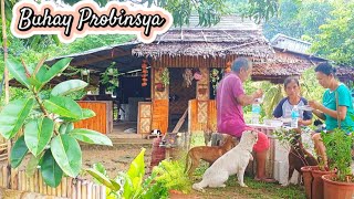 Buhay Probinsya | Buhay Bukid Masarap Manirahan sa Probinsya @AmigaCha